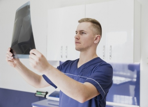 gallery/medico-tiro-medio-mirando-radiografia-animal_23-2148302284